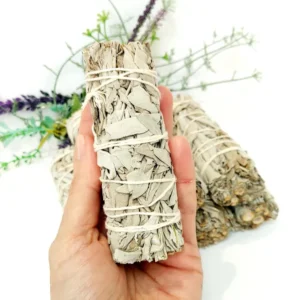 White Sage DLWhittaker