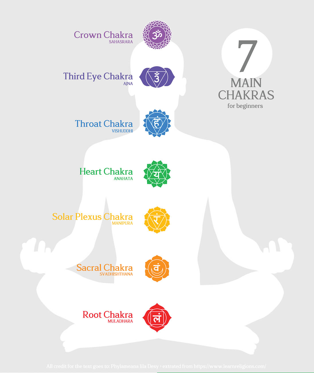 What are chakras